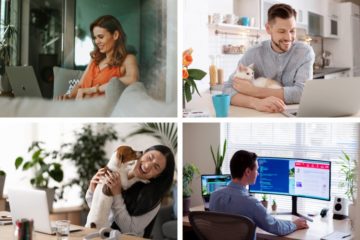 Working remotely at Parrot Creative